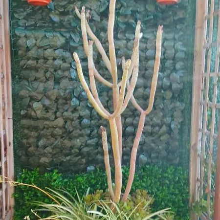 Casa Nodica Appartement